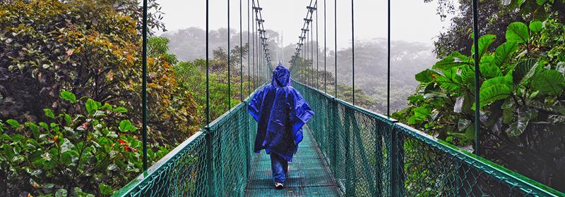 Person crossing a bridge wearing a blue rain poncho in a rainforest in Costa Rica